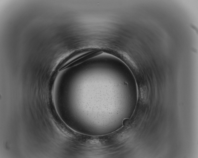 X0000096480588200801311558