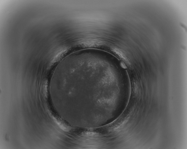 X0000096480590200801311558