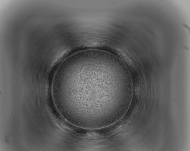 X0000096480591200801311558