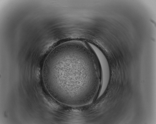 X0000096480592200801311558