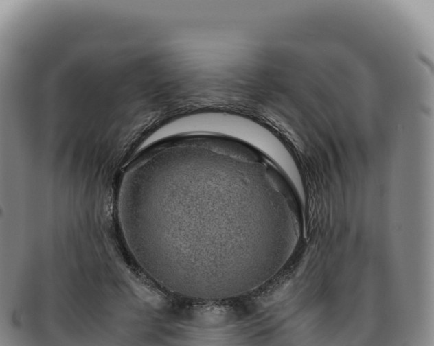 X0000096480593200801311558