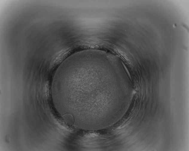 X0000096480594200801311558