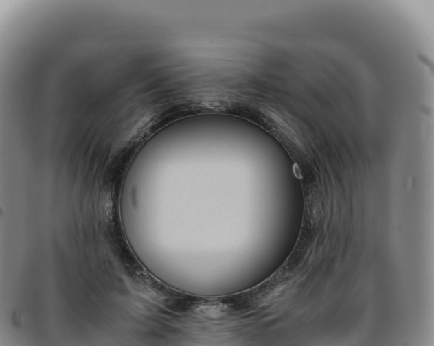 X0000096480595200801311558