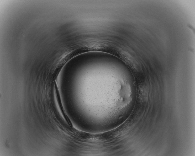 X0000096480596200801311558