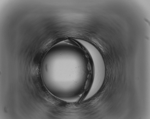 X0000096480597200801311558