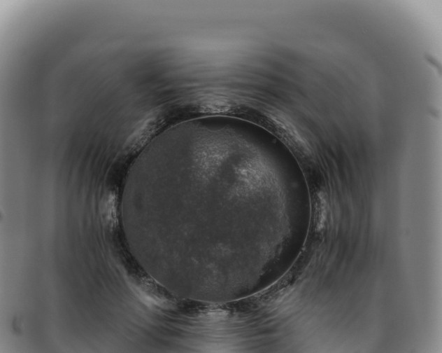 X0000096480598200801311558