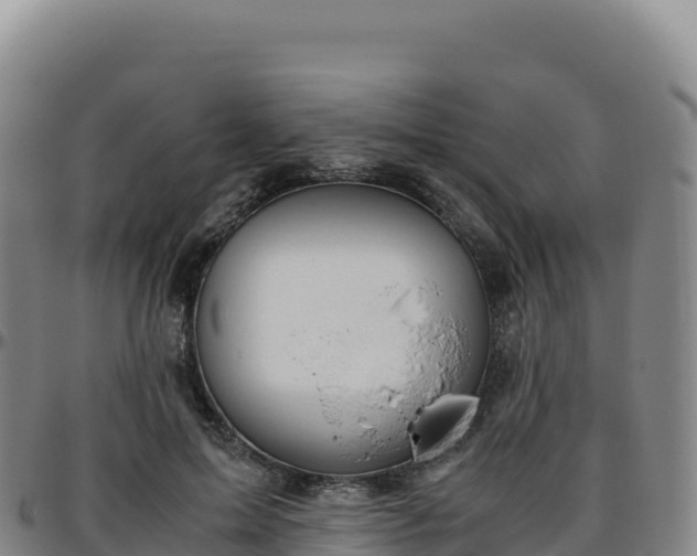 X0000096480599200801311558