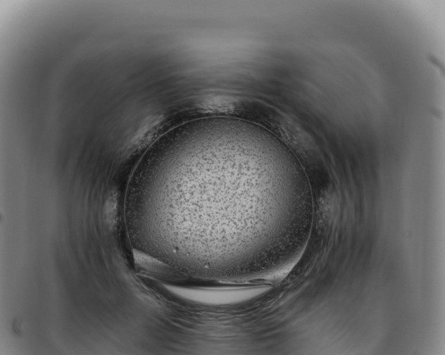 X0000096480600200801311558