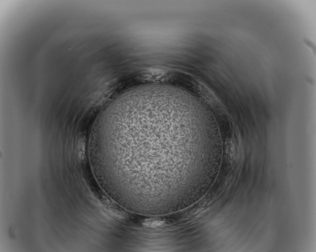 X0000096480602200801311558