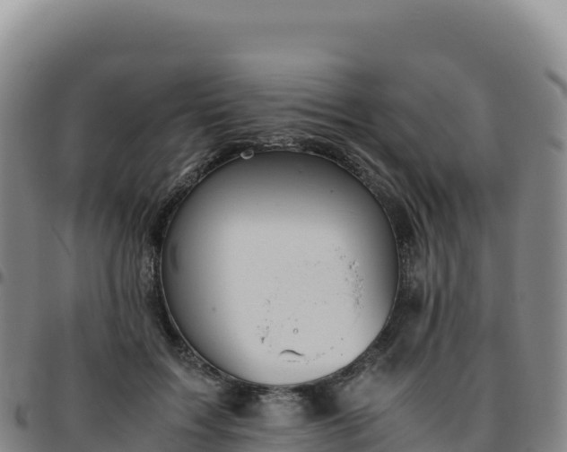 X0000096480603200801311558