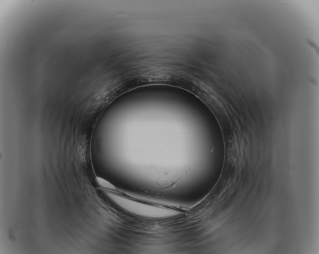 X0000096480604200801311558