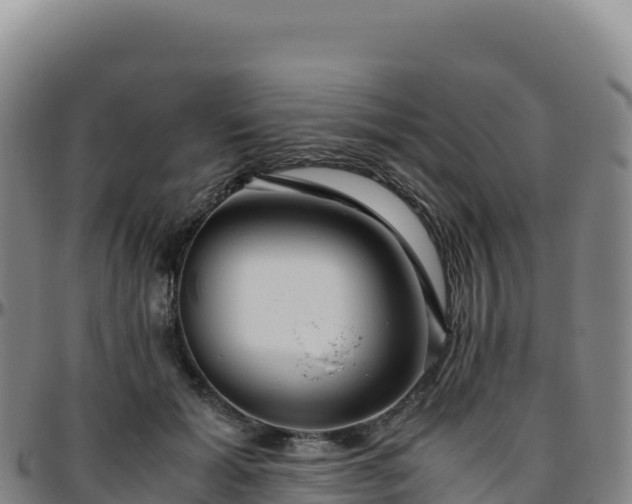 X0000096480605200801311558