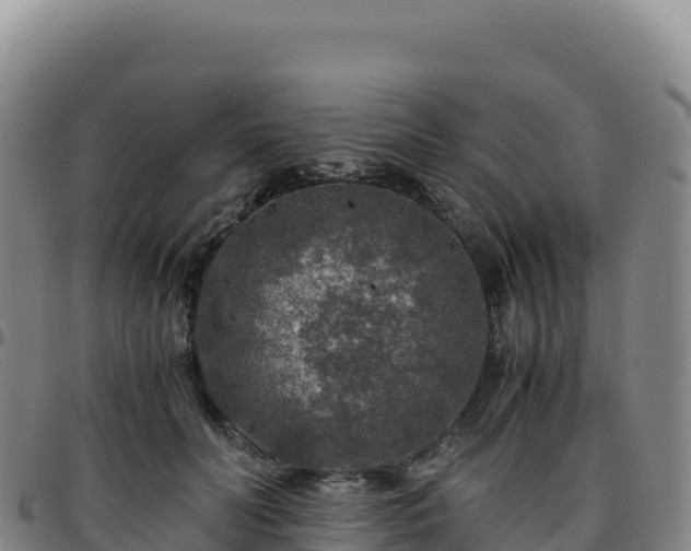 X0000096480606200801311558