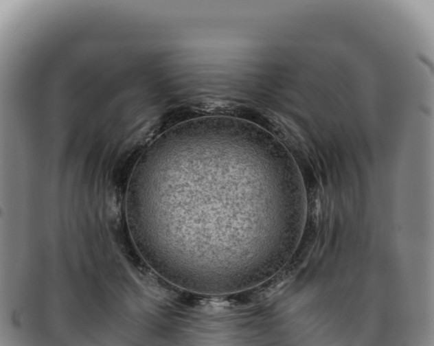 X0000096480607200801311558