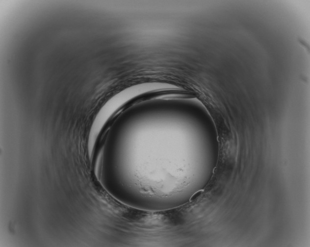 X0000096480609200801311557