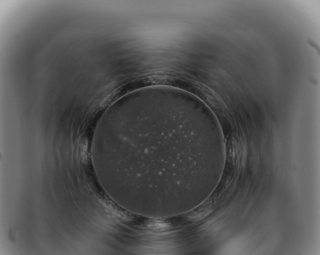 X0000096480610200801311557