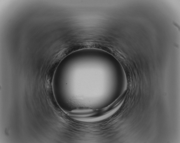 X0000096480611200801311557