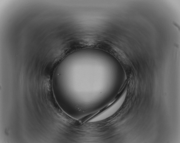 X0000096480612200801311557