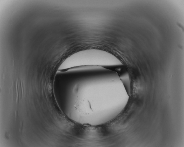 X0000096480613200801311557