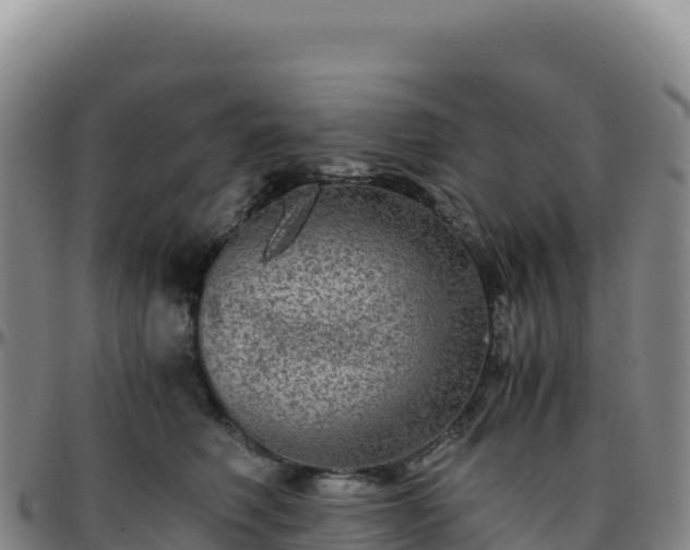 X0000096480614200801311557