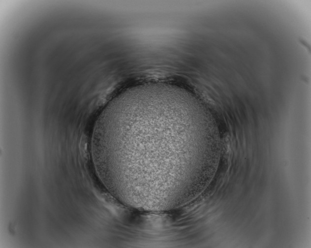 X0000096480615200801311557