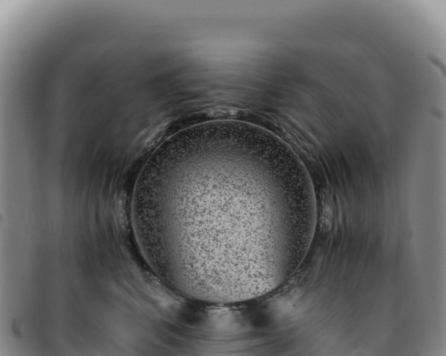 X0000096480616200801311557