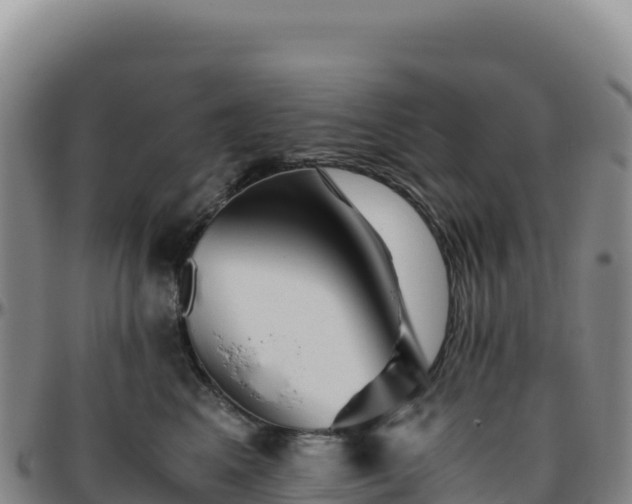 X0000096480617200801311557