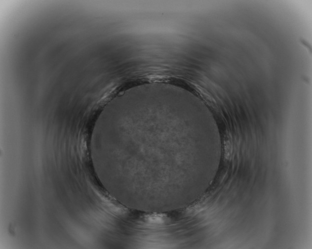 X0000096480618200801311557