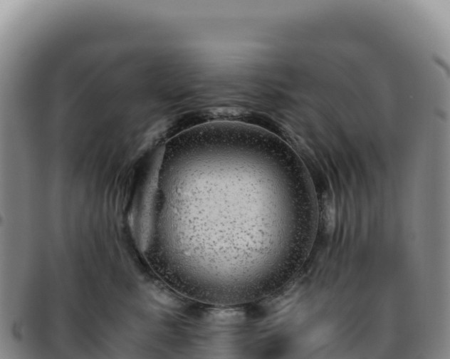 X0000096480619200801311557