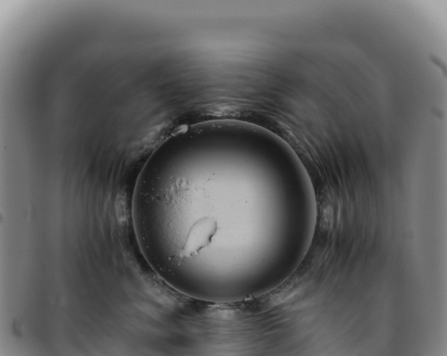 X0000096480620200801311557