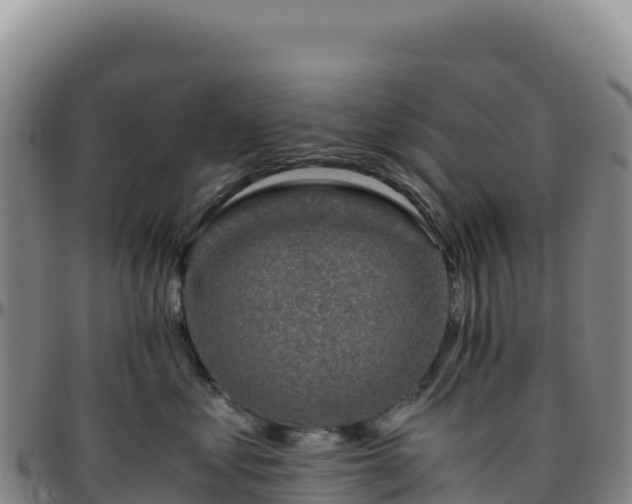 X0000096480621200801311557