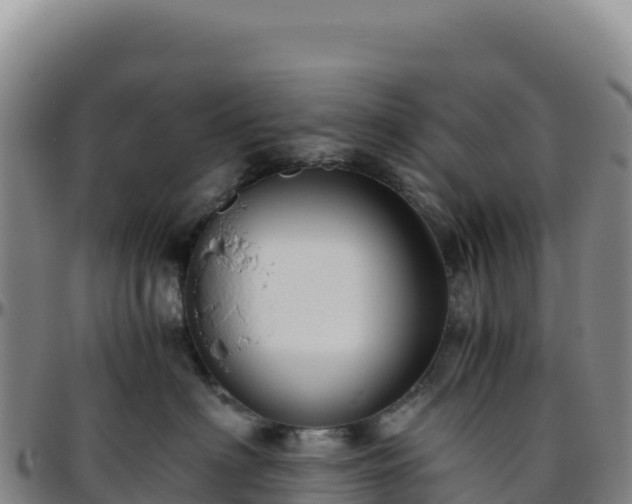 X0000096480622200801311557