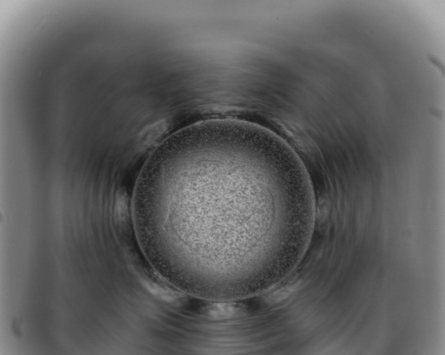 X0000096480623200801311557