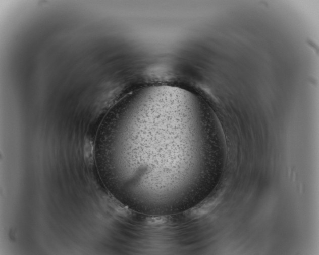 X0000096480624200801311557