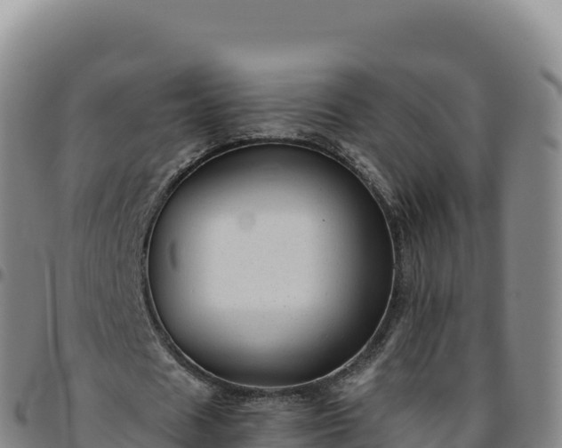 X0000096480625200801311557