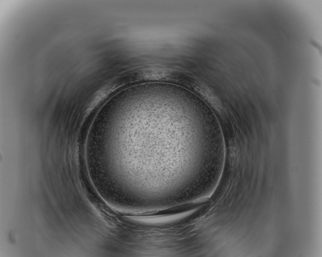 X0000096480626200801311557