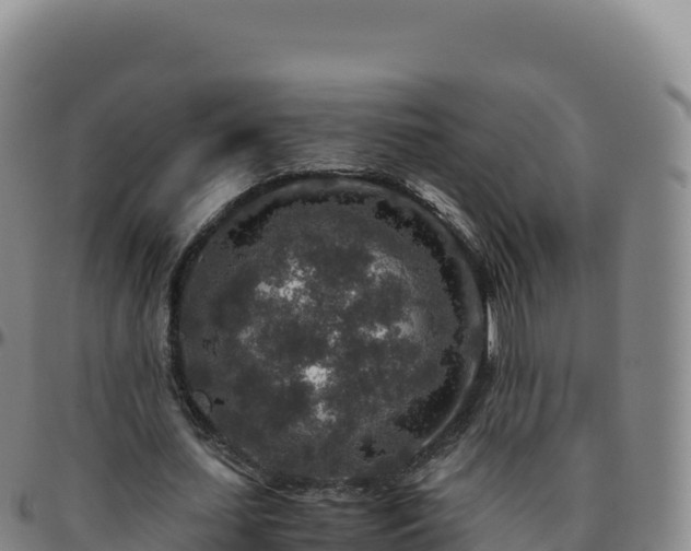 X0000096480627200801311557