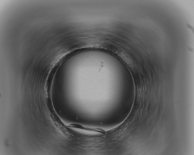 X0000096480628200801311557