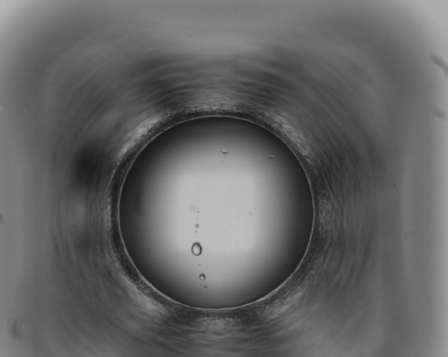 X0000096480629200801311557