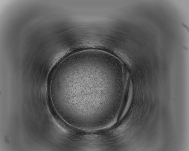 X0000096480630200801311557