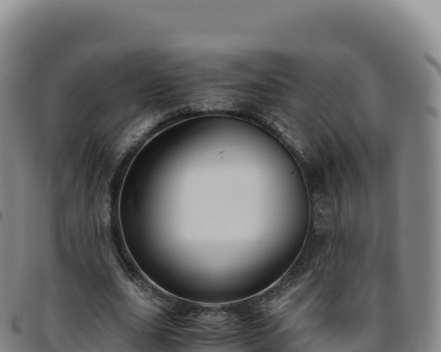 X0000096480631200801311557