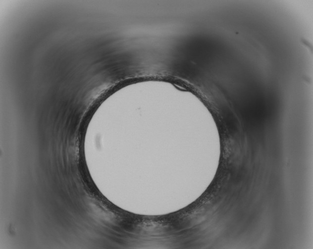 X0000096480632200801311557