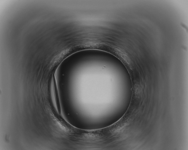 X0000096480633200801311557