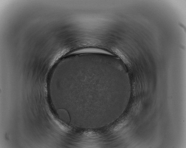 X0000096480634200801311557