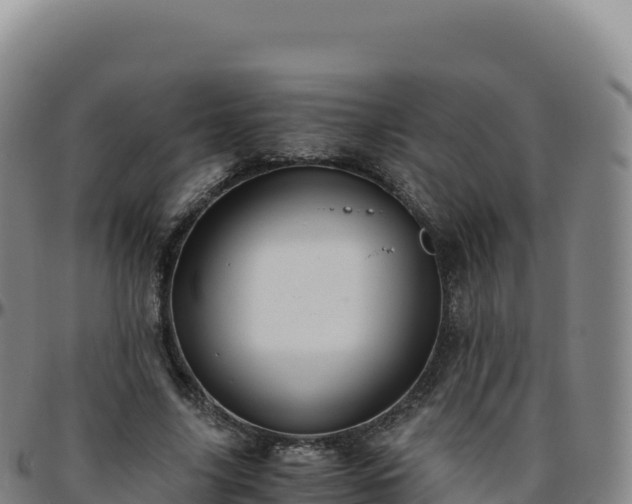 X0000096480635200801311557