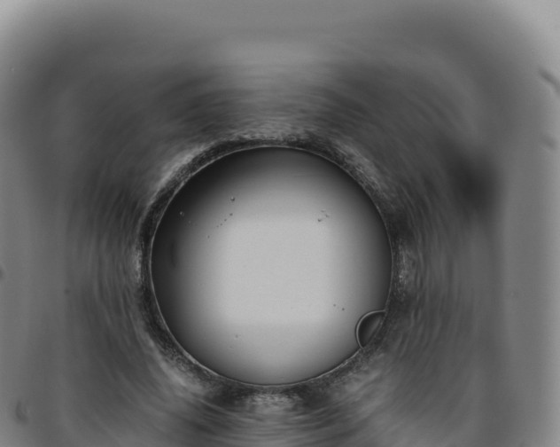 X0000096480636200801311557