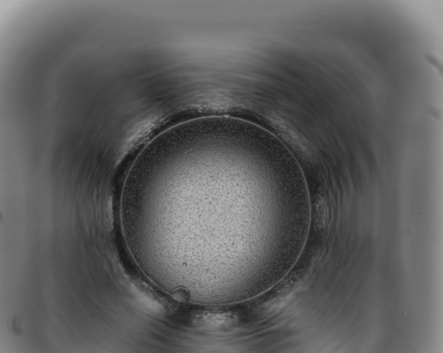 X0000096480638200801311557