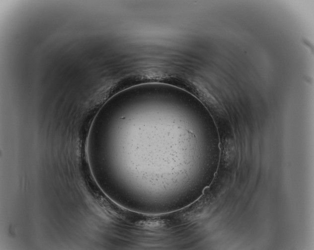 X0000096480639200801311557