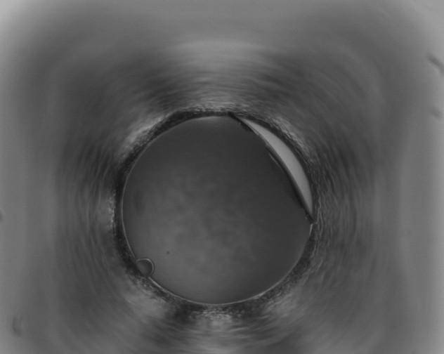 X0000096480640200801311557