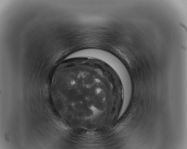 X0000096480641200801311557